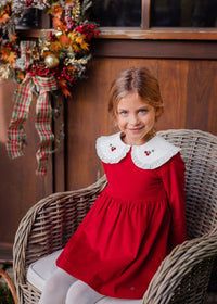 Vestido velvet acebo