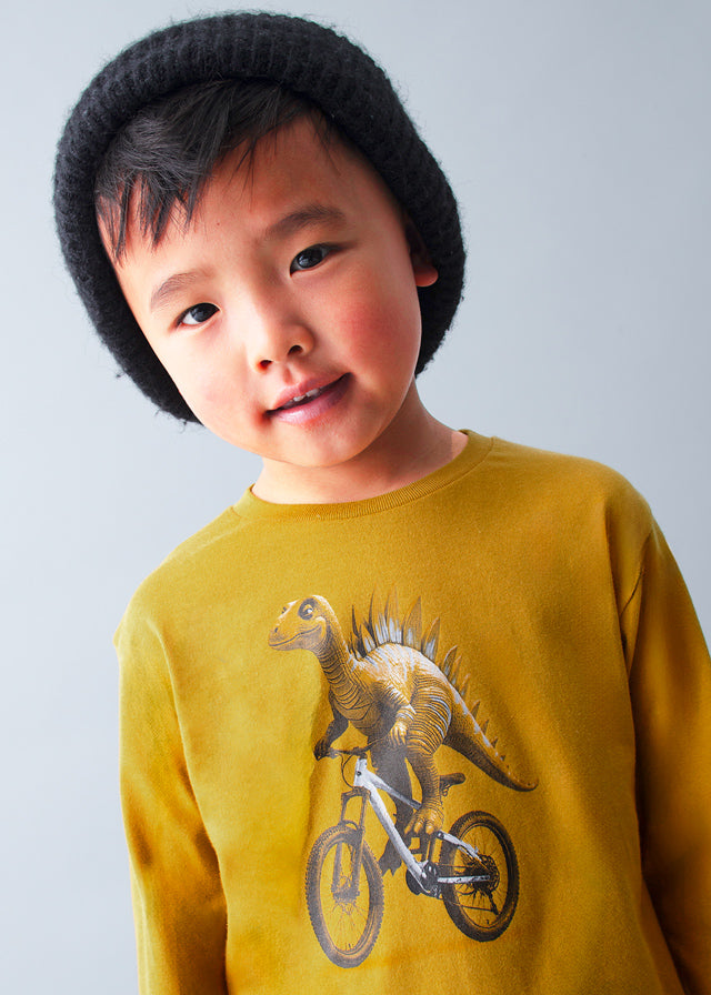 Camiseta ML dino