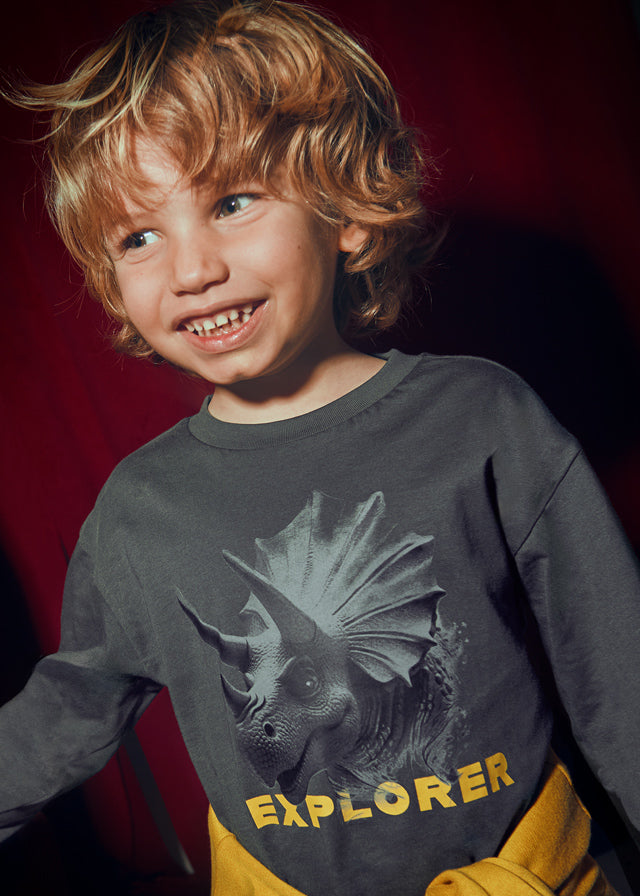 Camiseta ML explorer