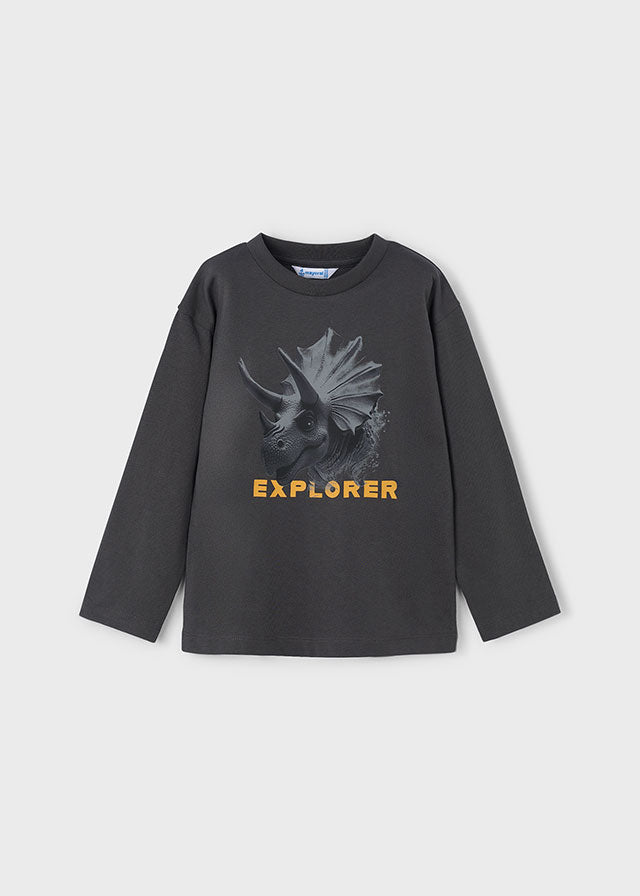 Camiseta ML explorer