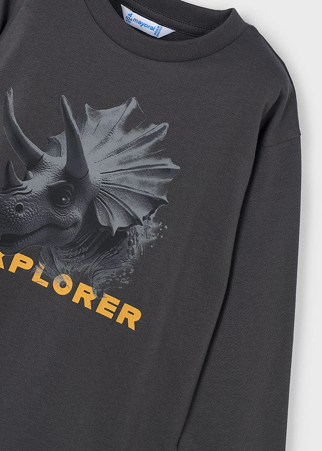 Camiseta ML explorer