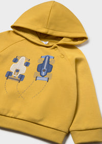 Sudadera capucha bebé