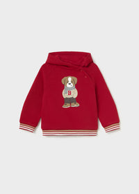 Sudadera capucha bebé