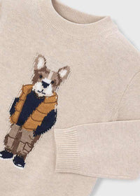 Jersey intarsia niño