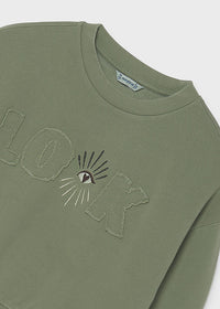 Sudadera bordados chica