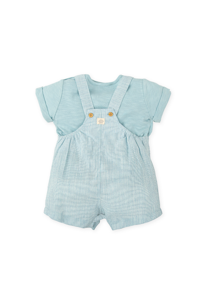 Conjunto peto rayas y camiseta azul