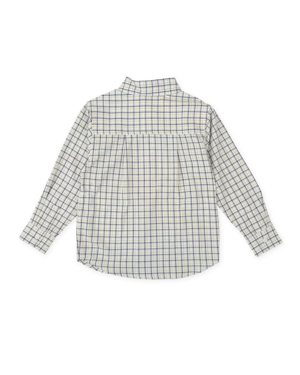 Camisa