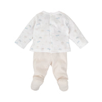 Conjunto polaina