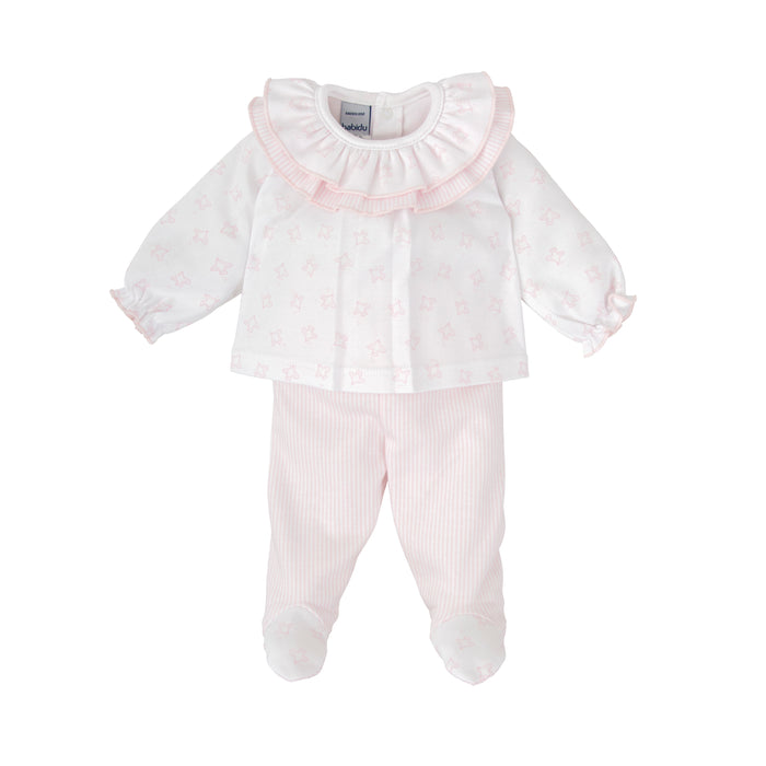Conjunto polaina