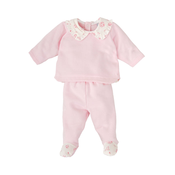 Conjunto polaina