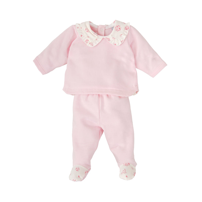 Conjunto polaina
