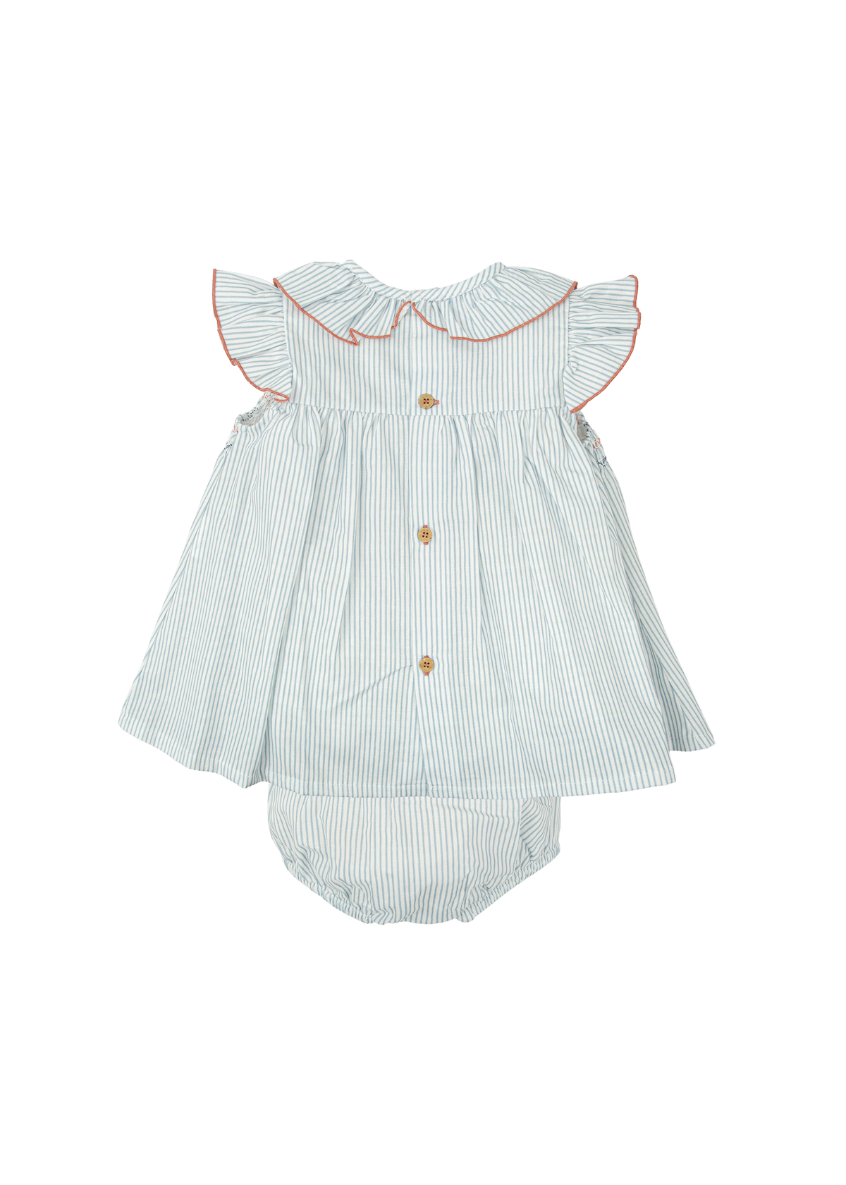 Jesusito nido abeja volante claridad