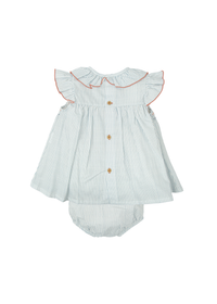 Jesusito nido abeja volante claridad