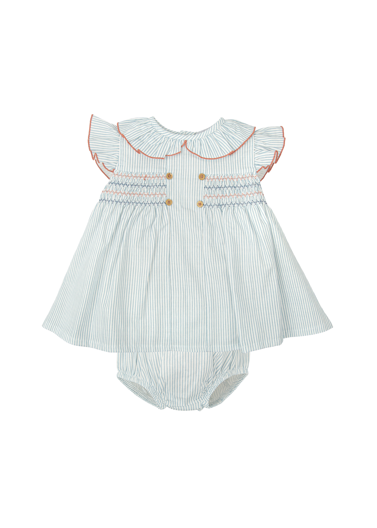 Jesusito nido abeja volante claridad