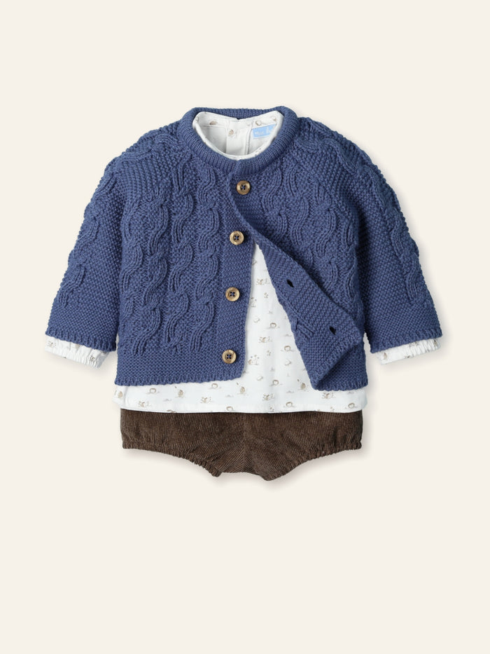 Conjunto erizo del bosque
