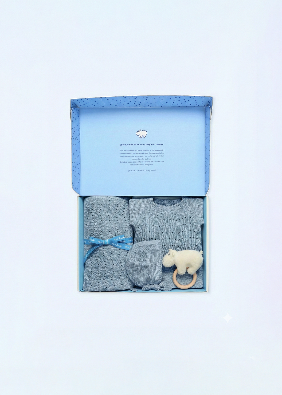 Caja de regalo conejito tess