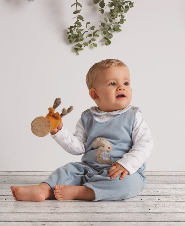 Conjunto peto nino pradera